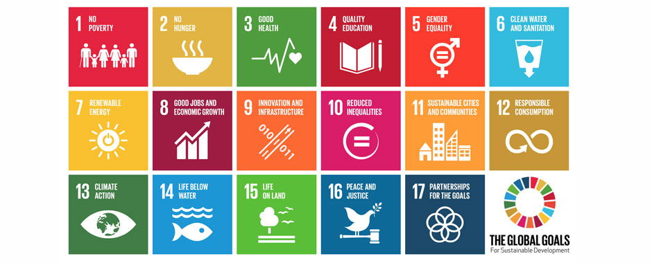 SDG Wheel Image